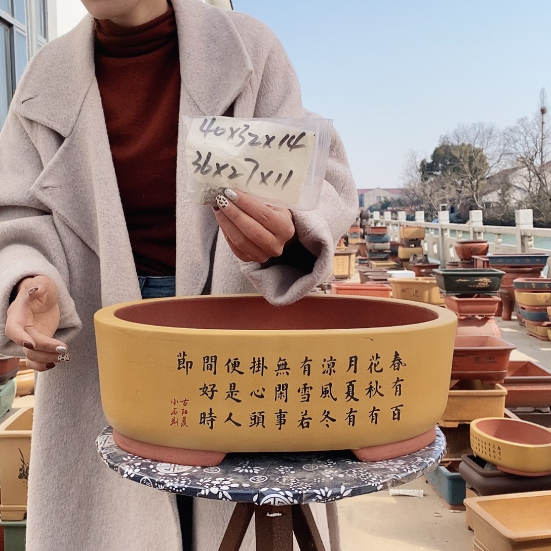 紫砂花盆紫砂花盆