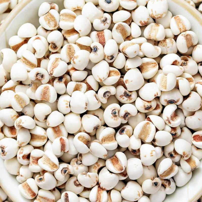 精选【薏苡仁】贵州兴仁道地本草