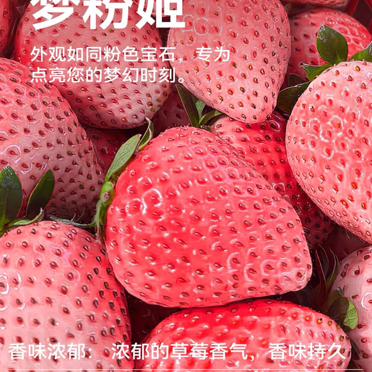 直播间福利草莓苗