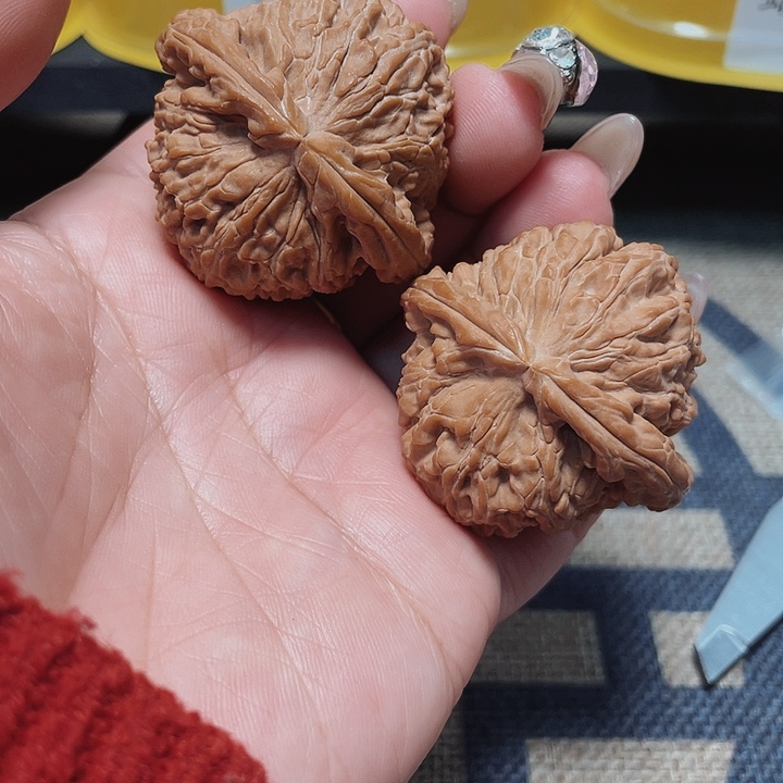 文玩核桃把件X**x白狮子43