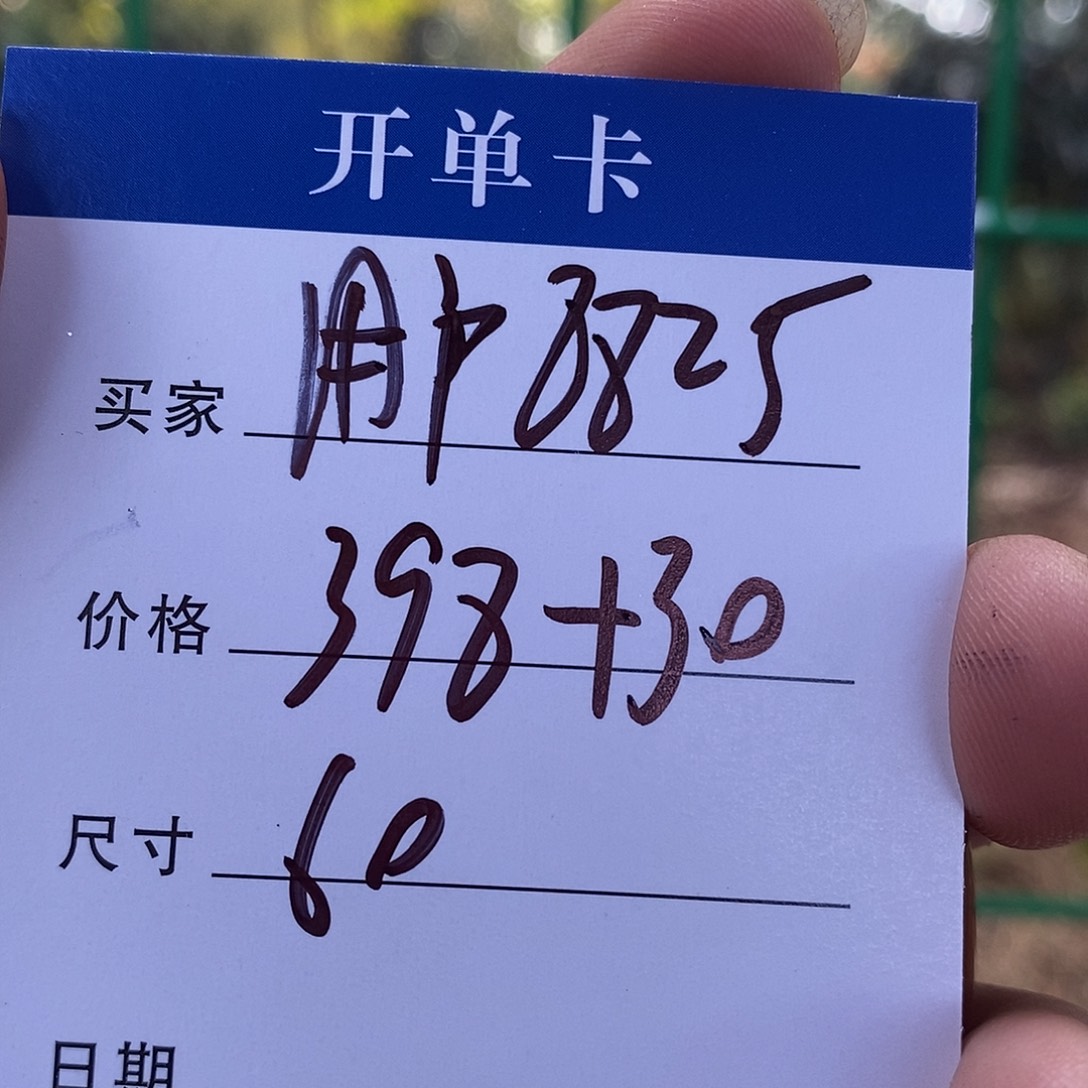 用***1非金属所见皆所得