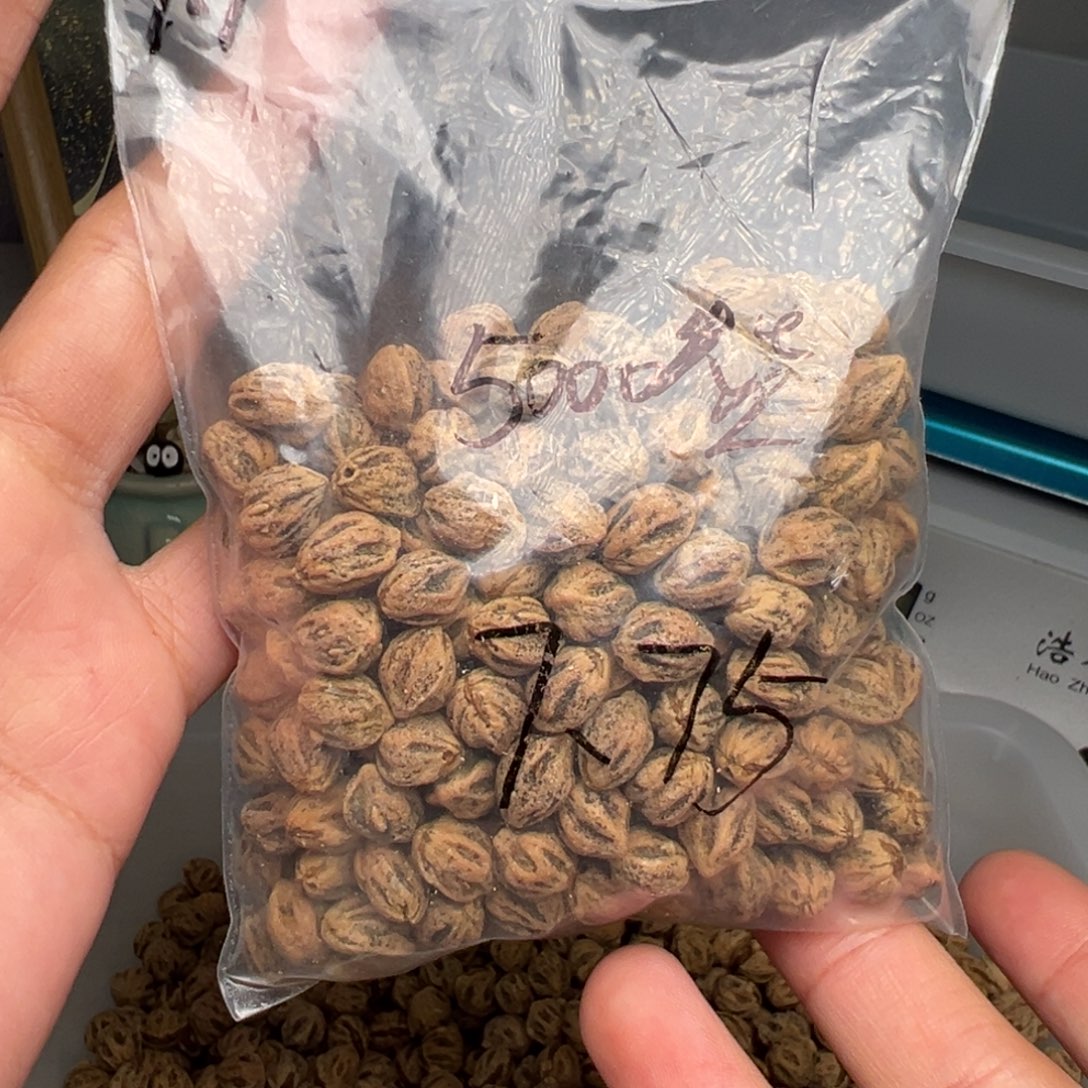 屋***系吊坠柏香籽/百香籽