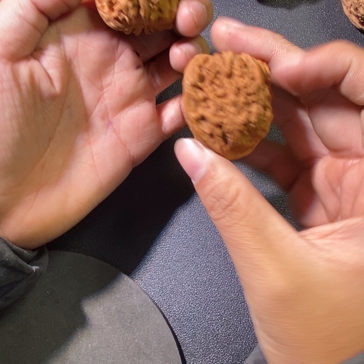 S***l全111111111111111