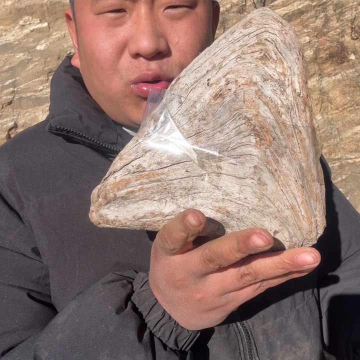 海***5有机玻璃太行崖柏