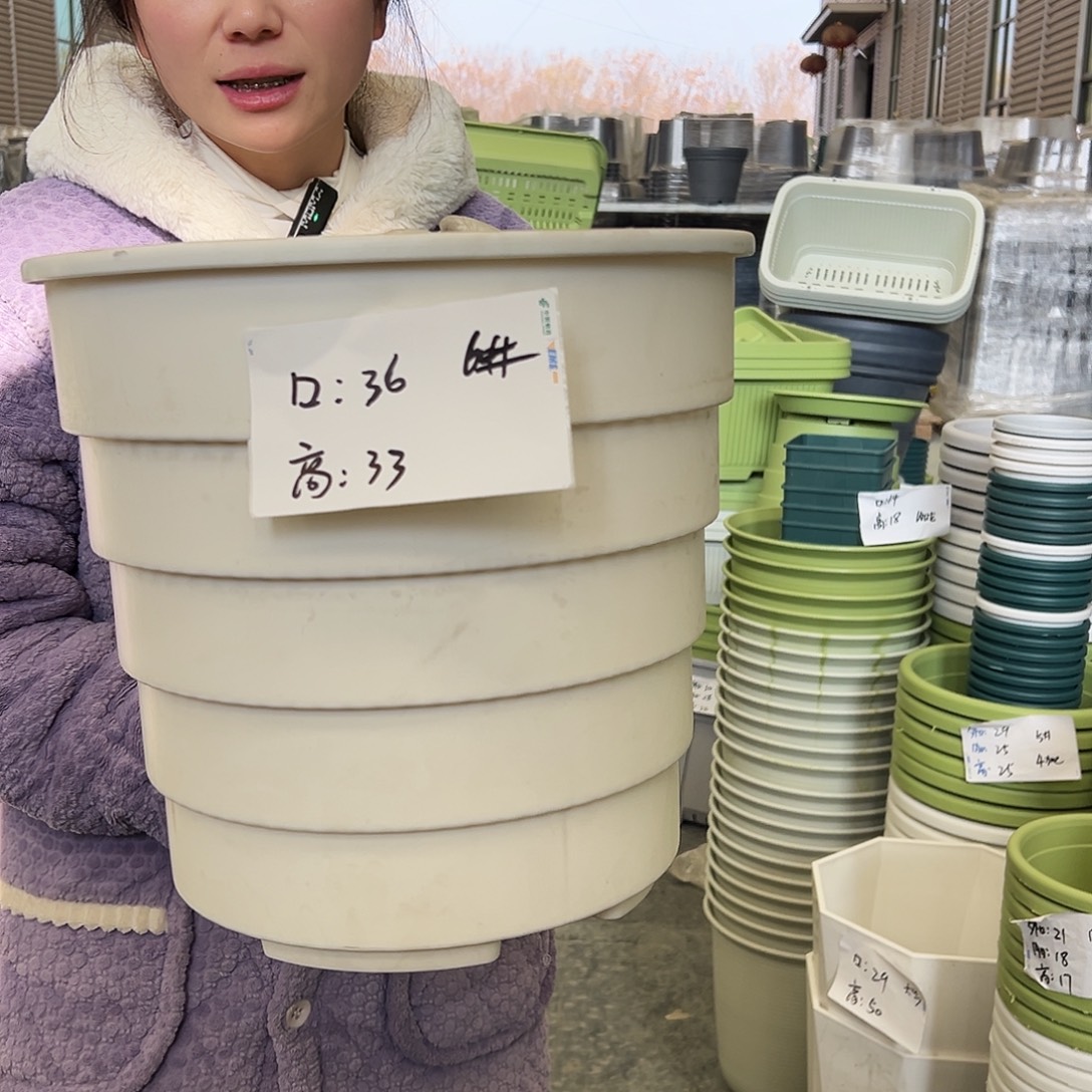 多孔盆360#白色3个无托