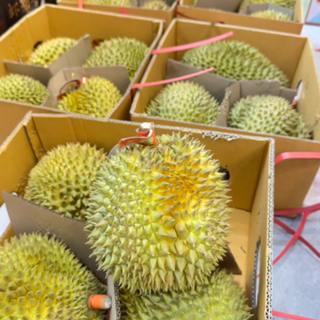 鲜榴莲（5.19斤）金枕核小金枕泰国