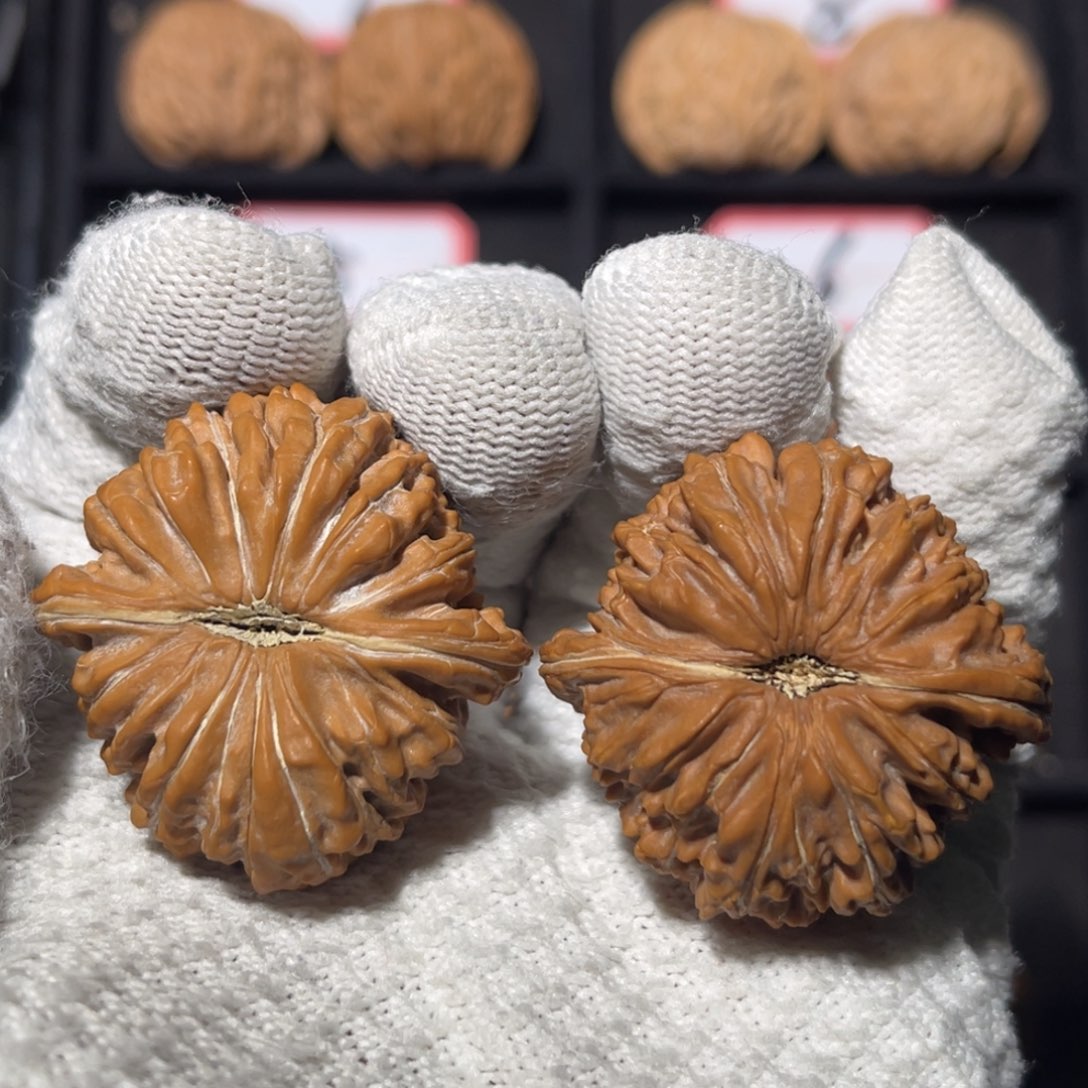 飞***天文玩核桃吊坠06秦皇岛山地果全品