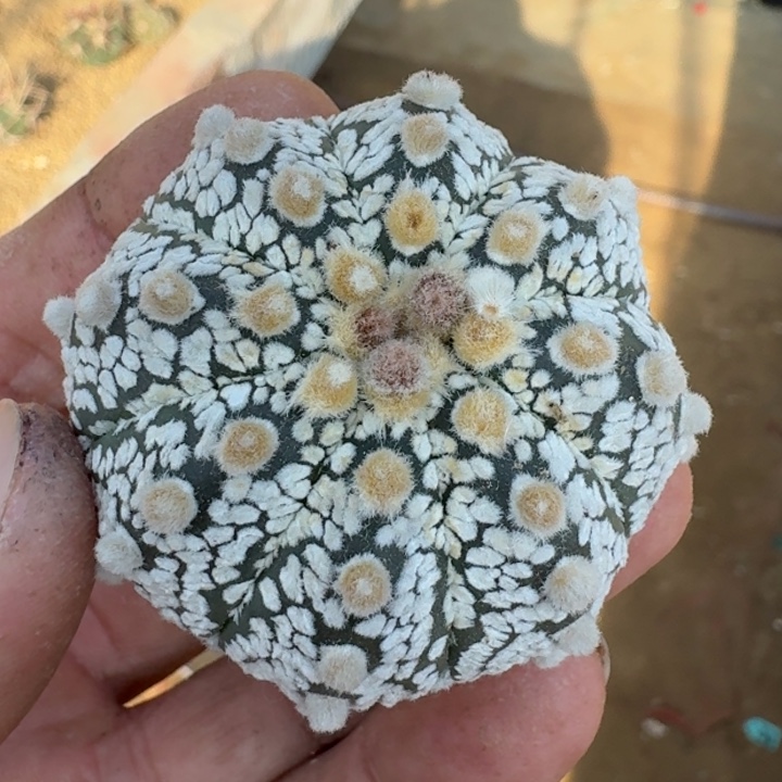 下播福利22222222222222