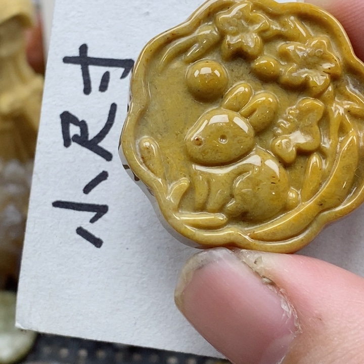 颈饰未镶嵌硅化珊瑚（珊瑚玉）