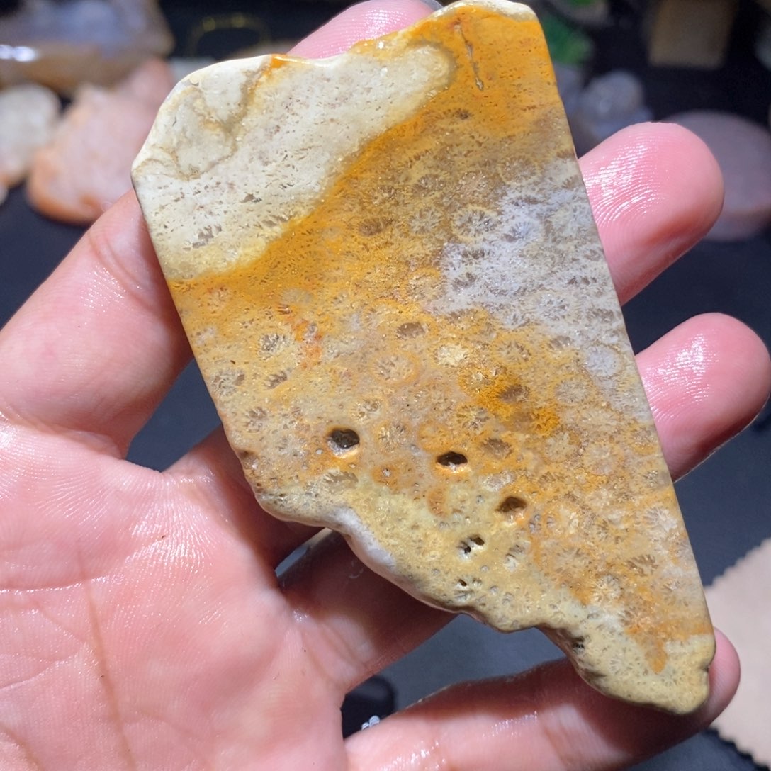 【闪购商品】硅化玉颈饰未镶嵌