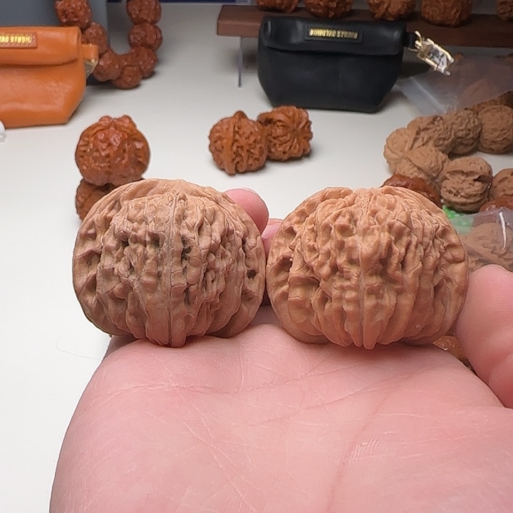 A26号王铁军一代楼（尖修）43-40-35