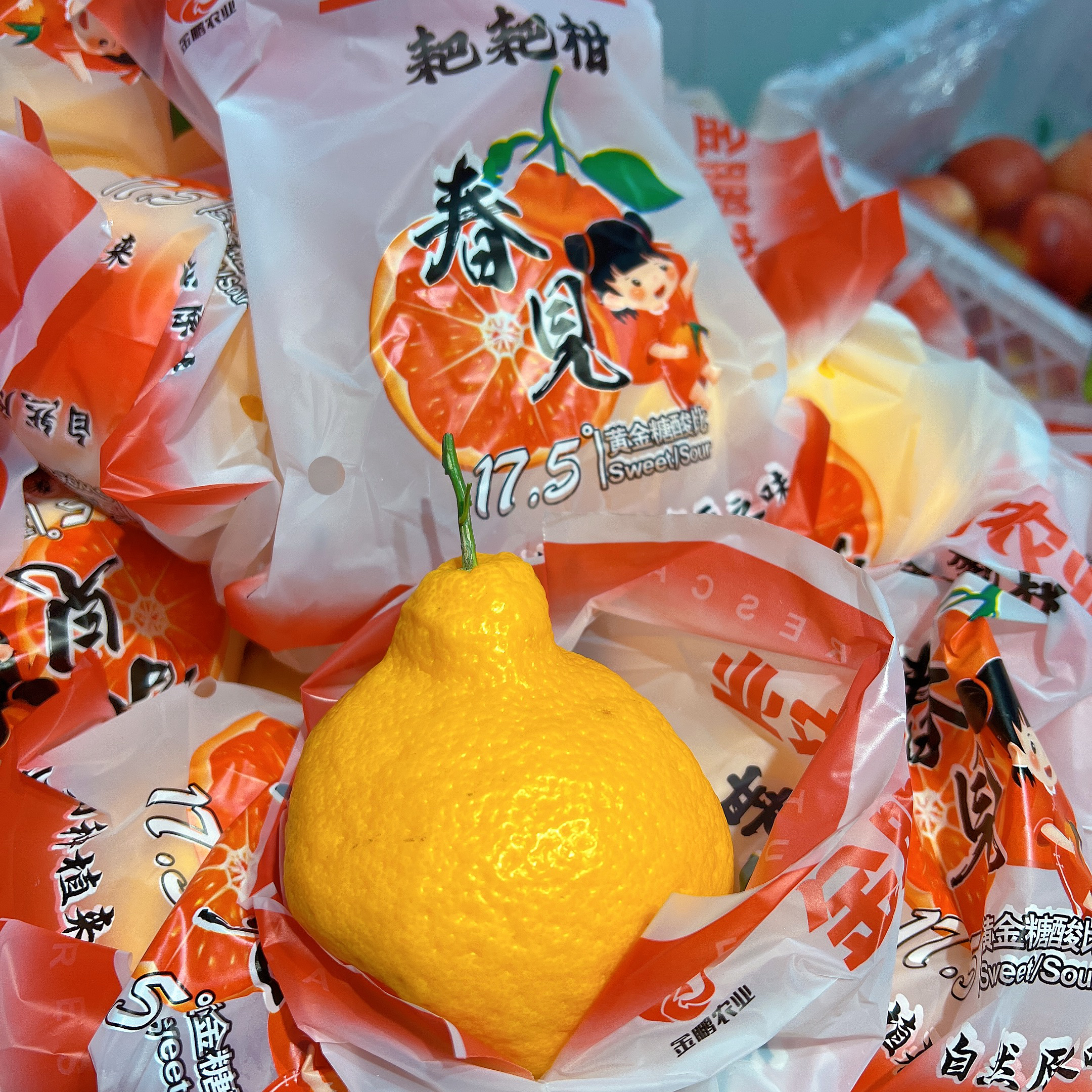 春见耙耙柑8.8/500g  好吃  甜口的