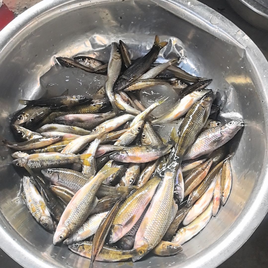石台小李代购杂鱼河虾猪肉
