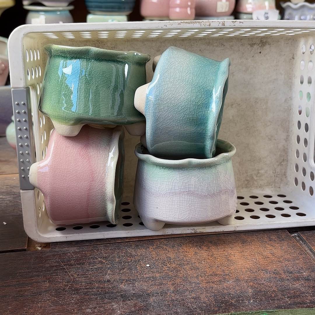 好****量货/口7高6.5深浅搭配发4