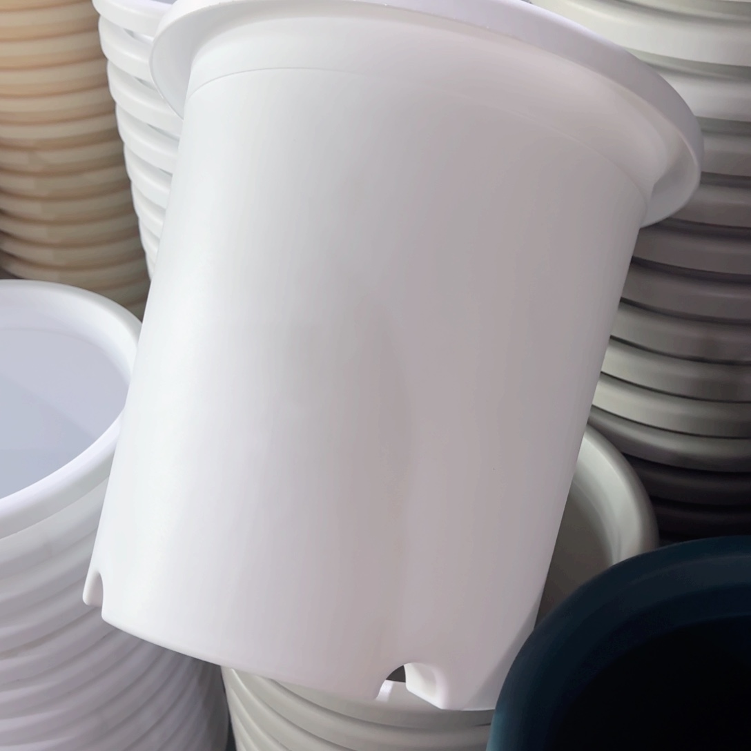 树脂四季7#无拖纯白7个