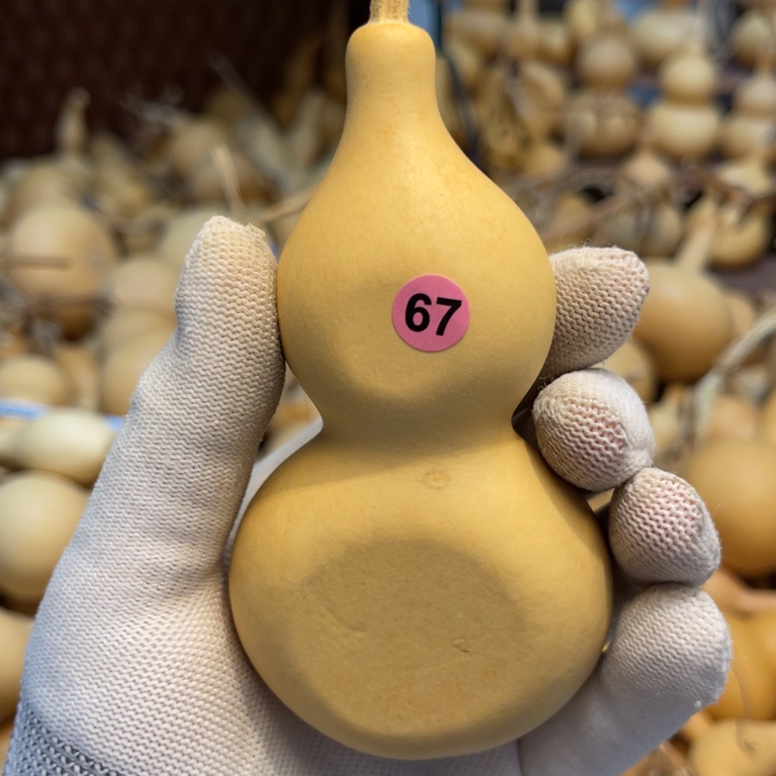 闪拍葫芦链接-67号品