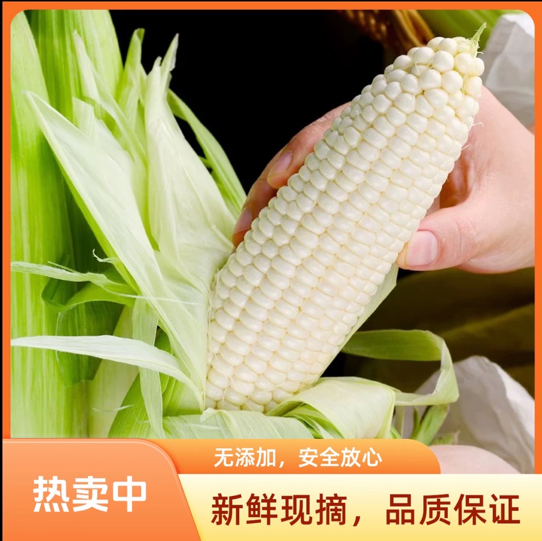头茬水果玉米白玉米带皮苞谷玉米大棒子甜糯玉米（带箱五斤）