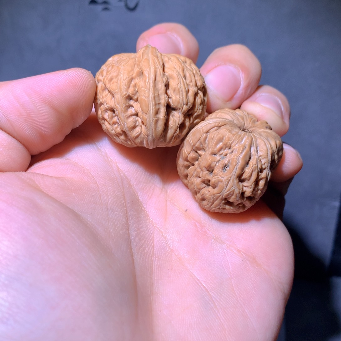 文玩核桃把件33尺寸元宝07号