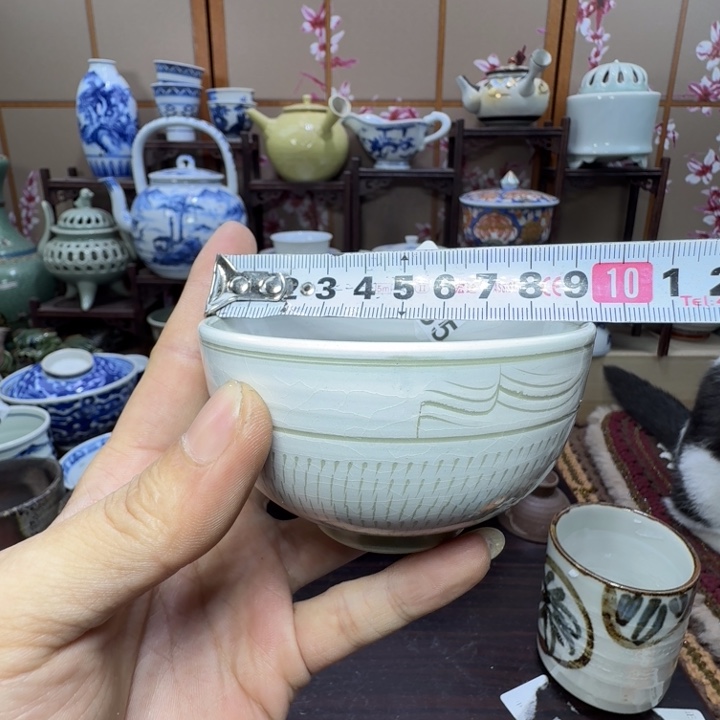 碟485啊啊啊啊啊啊啊啊啊啊啊啊