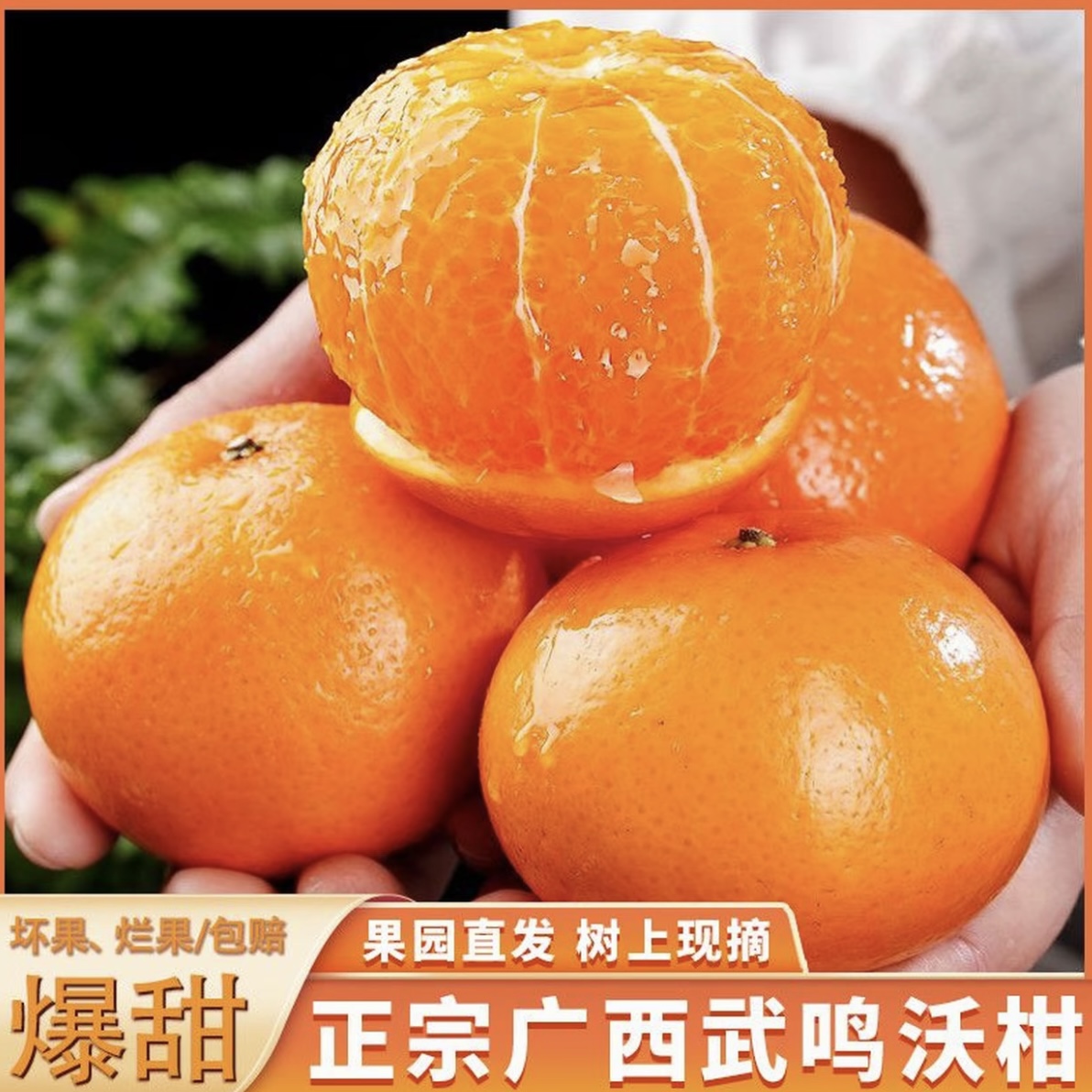 正宗广西武鸣花皮沃柑新鲜现摘多汁香甜当季水果