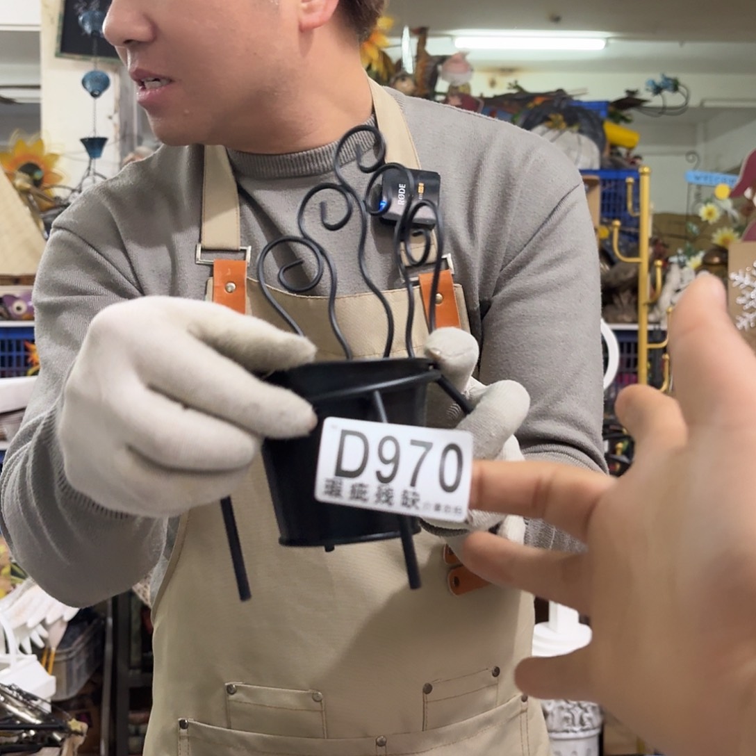 核桃木/黑胡桃（胡桃木）