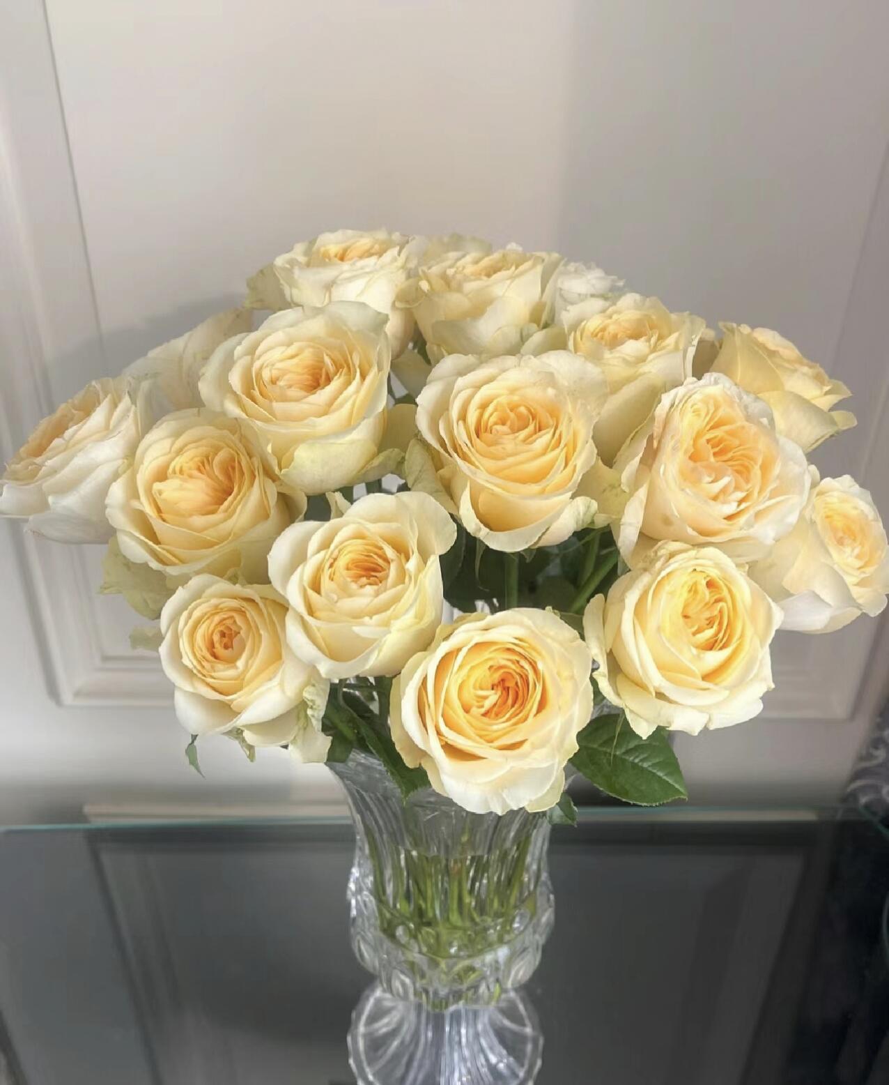 【精品奶油杯单头玫瑰】云南鲜花直发家用水养鲜切花