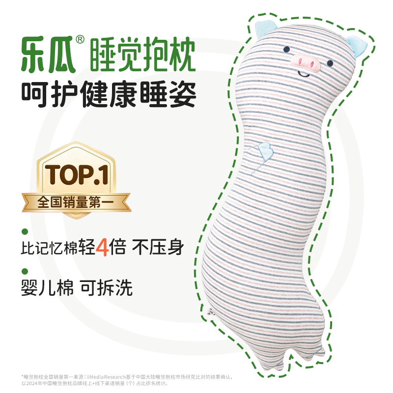 乐瓜【蓝耳猪】睡觉抱枕侧睡专用睡眠好物卧室护腰可拆洗