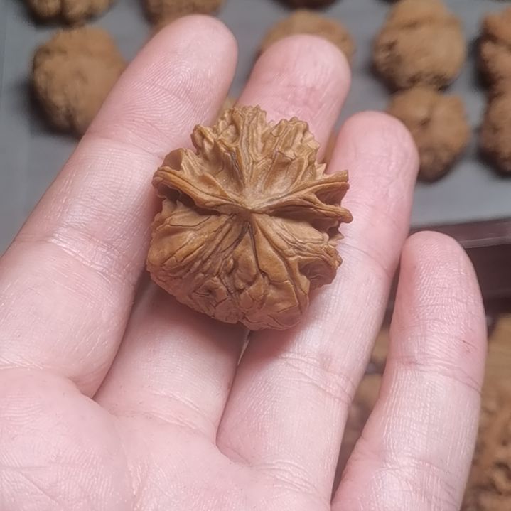 岐山蛇9999999999999