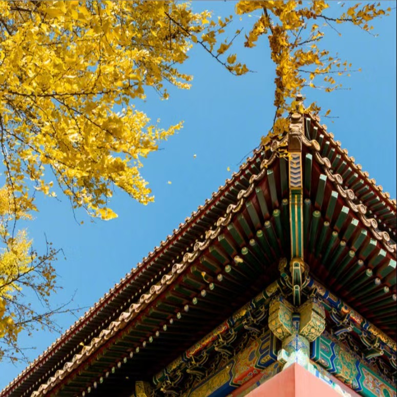 六平尺书法-绢本-聚福书画院-HML