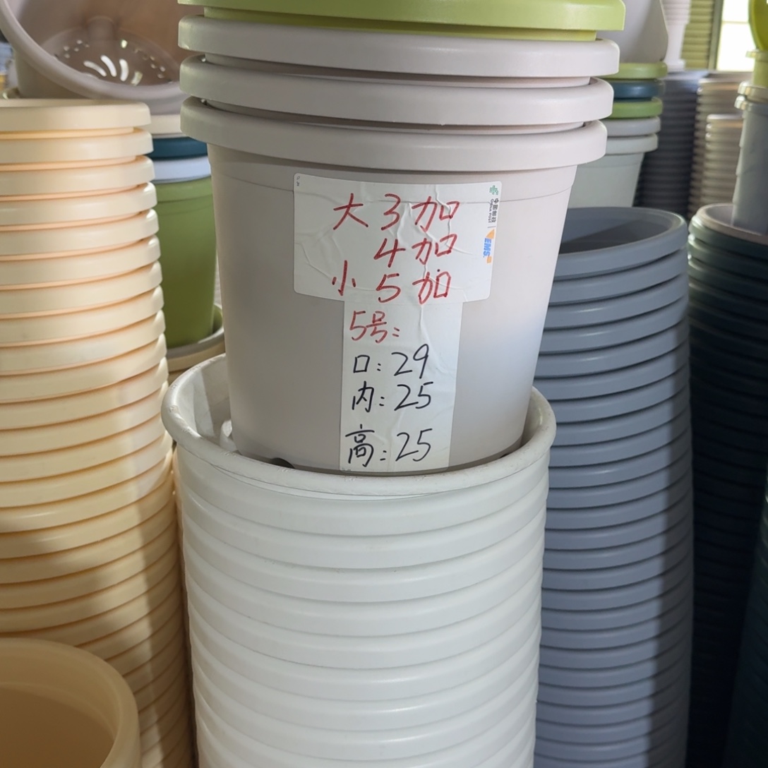 四季5#口径29无拖果绿10个