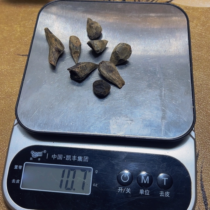 树***雨沉香沉香碎屑沉水树丁10g