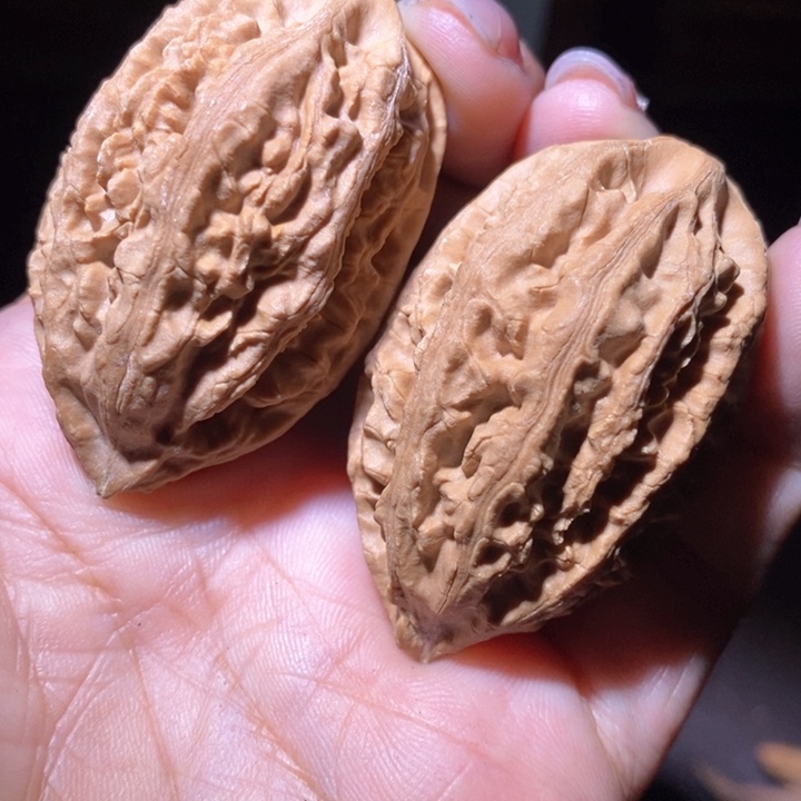 文玩核桃把件东北野生楸子小美91