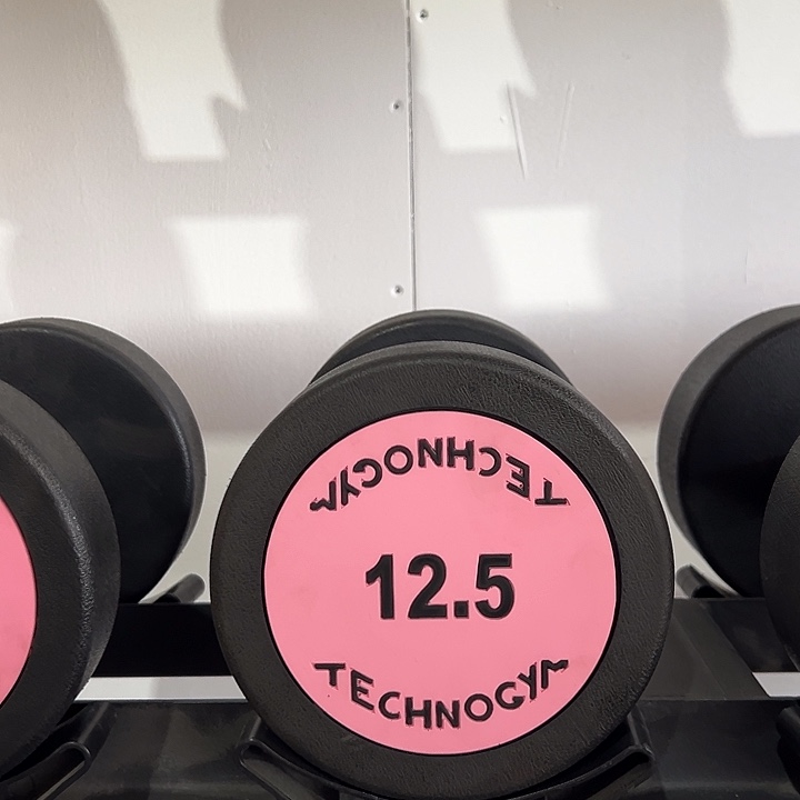 全新纯钢泰诺哑铃12.5公斤一对粉色