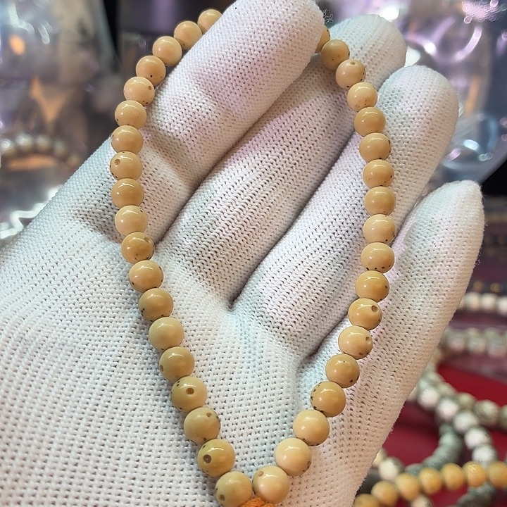 星月菩提手串6尺寸龙蛋