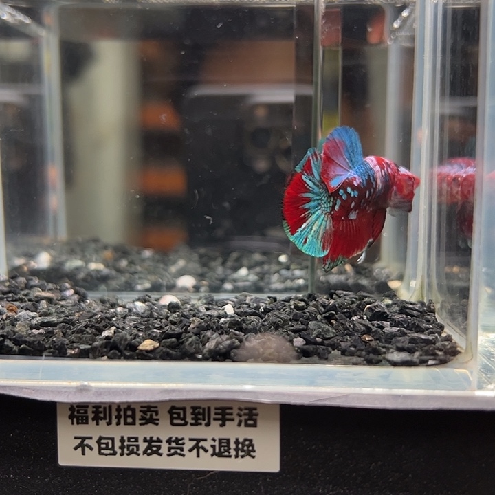 斗鱼跑单拉黑17日40