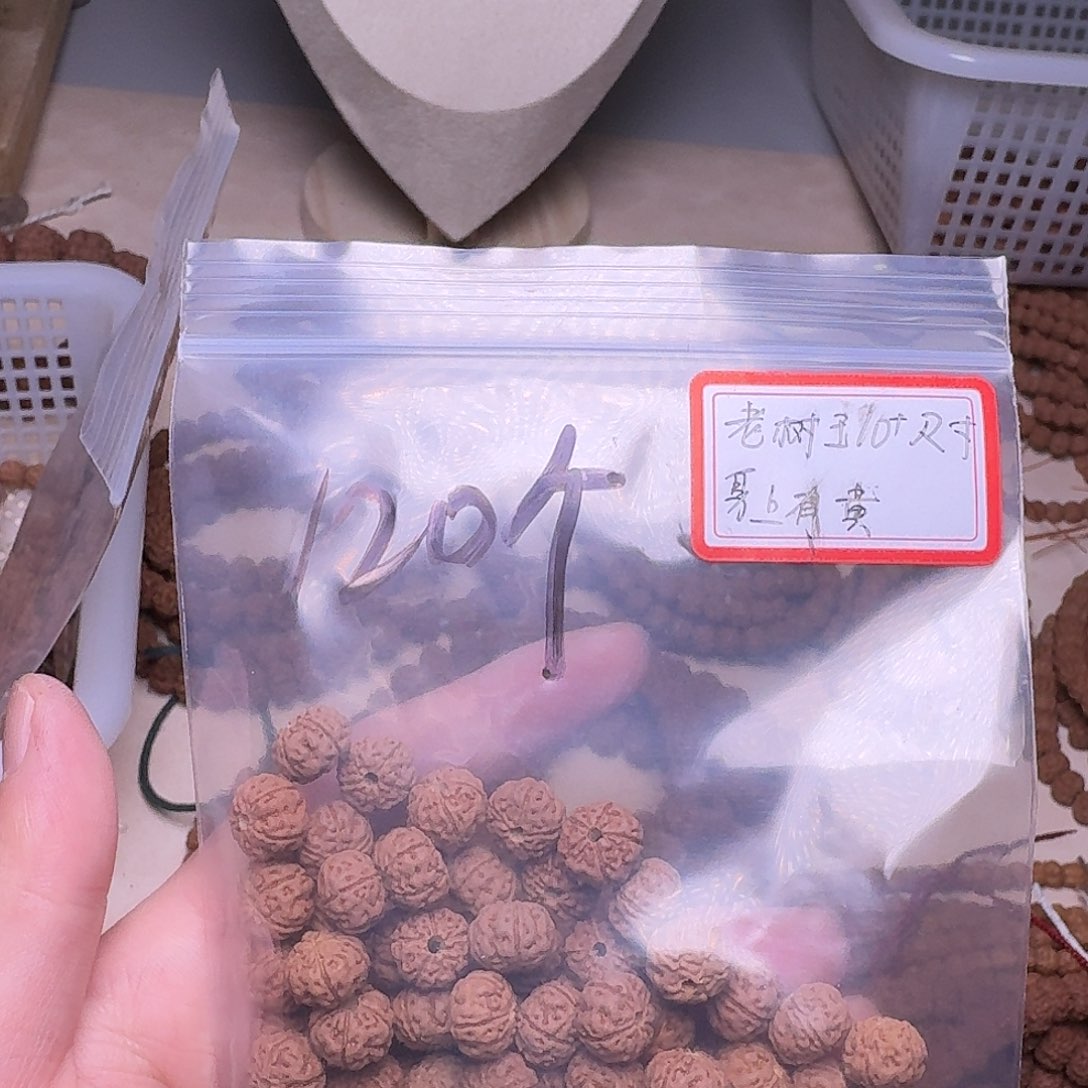 金刚菩提吊坠缥*勿里达纯血老树王散籽瑕疵练手10尺寸
