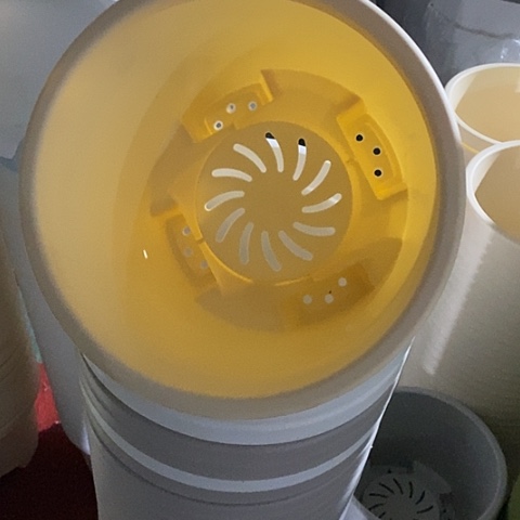 树脂球根3号无托米黄5个