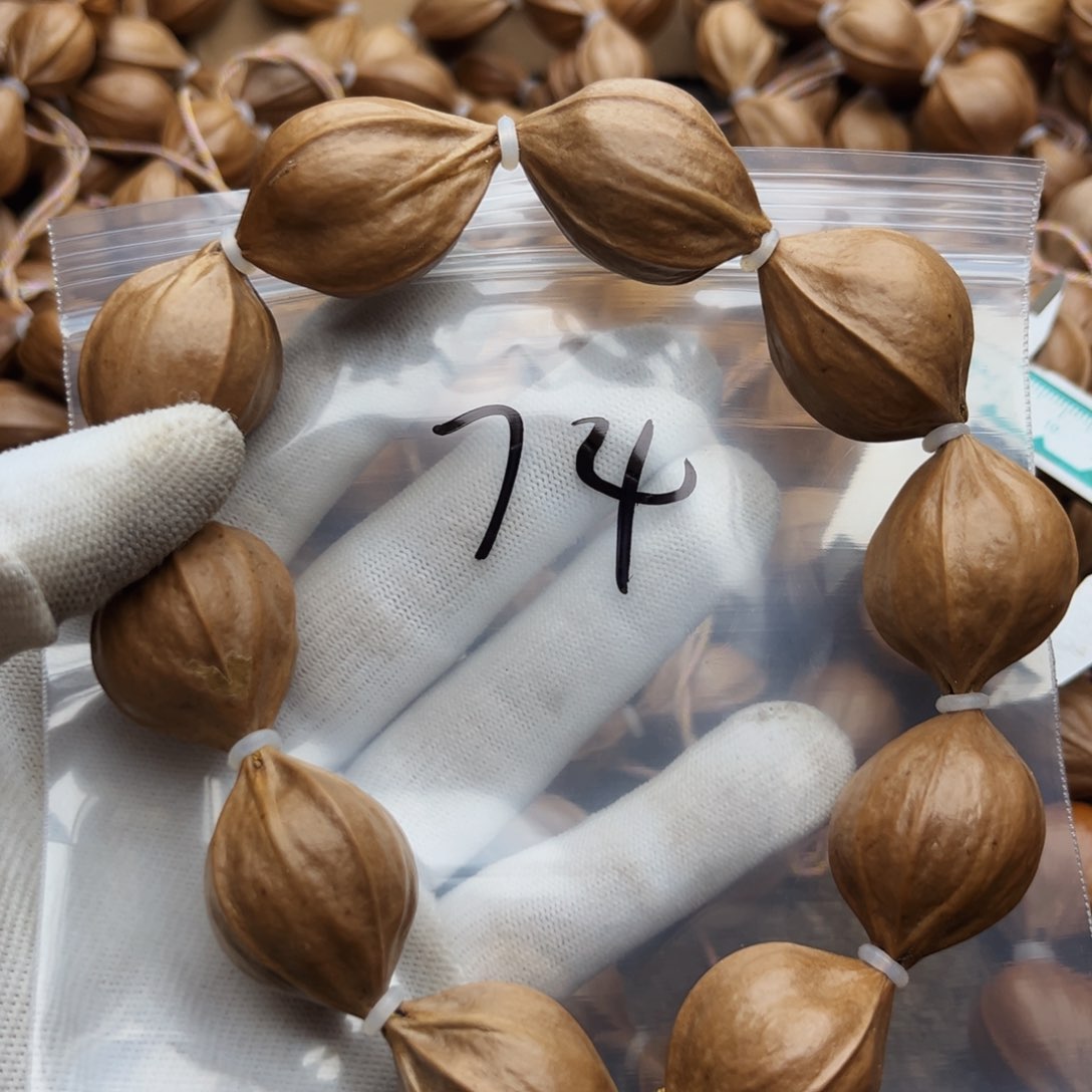 橄榄核手串/手链74号，2.4×3.1四花