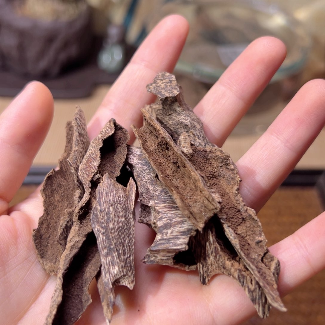 【闪购商品】香榧木海南木料尖峰岭鹧鸪斑鸡母虫漏11克