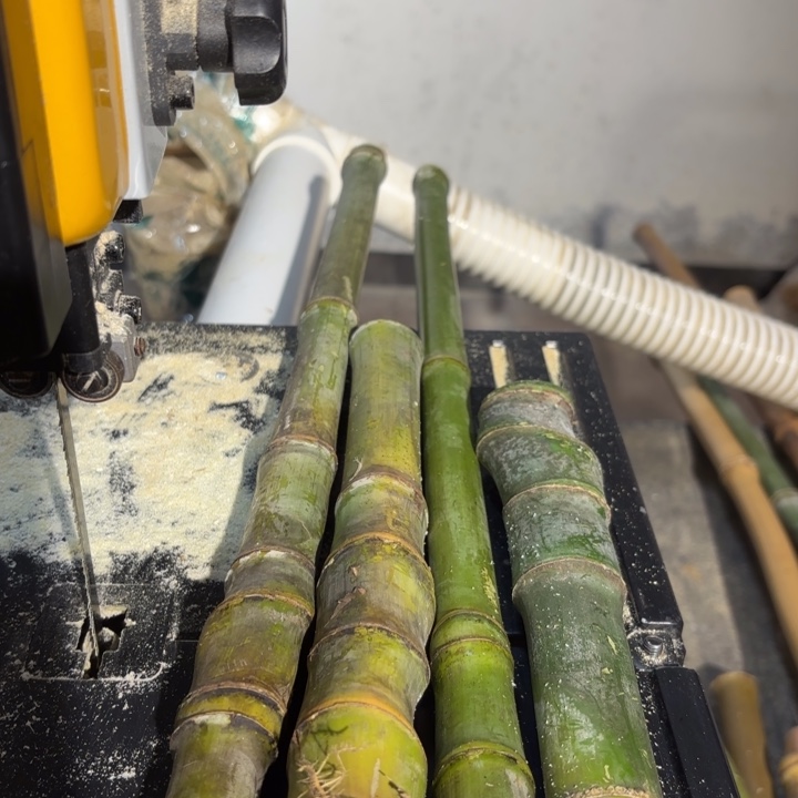 努***八实心竹竹竹竹竹竹竹竹竹竹