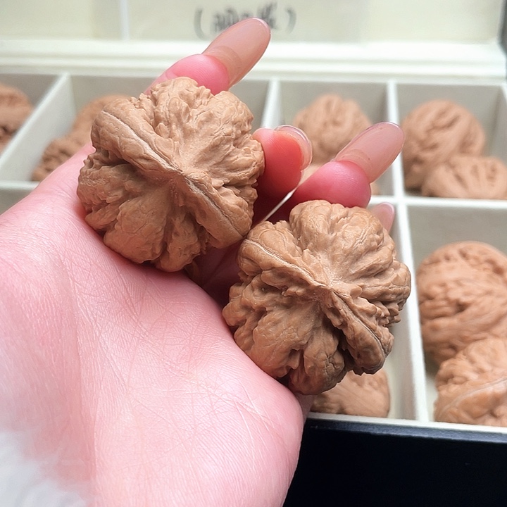 C***c霸王龙核桃尺寸38