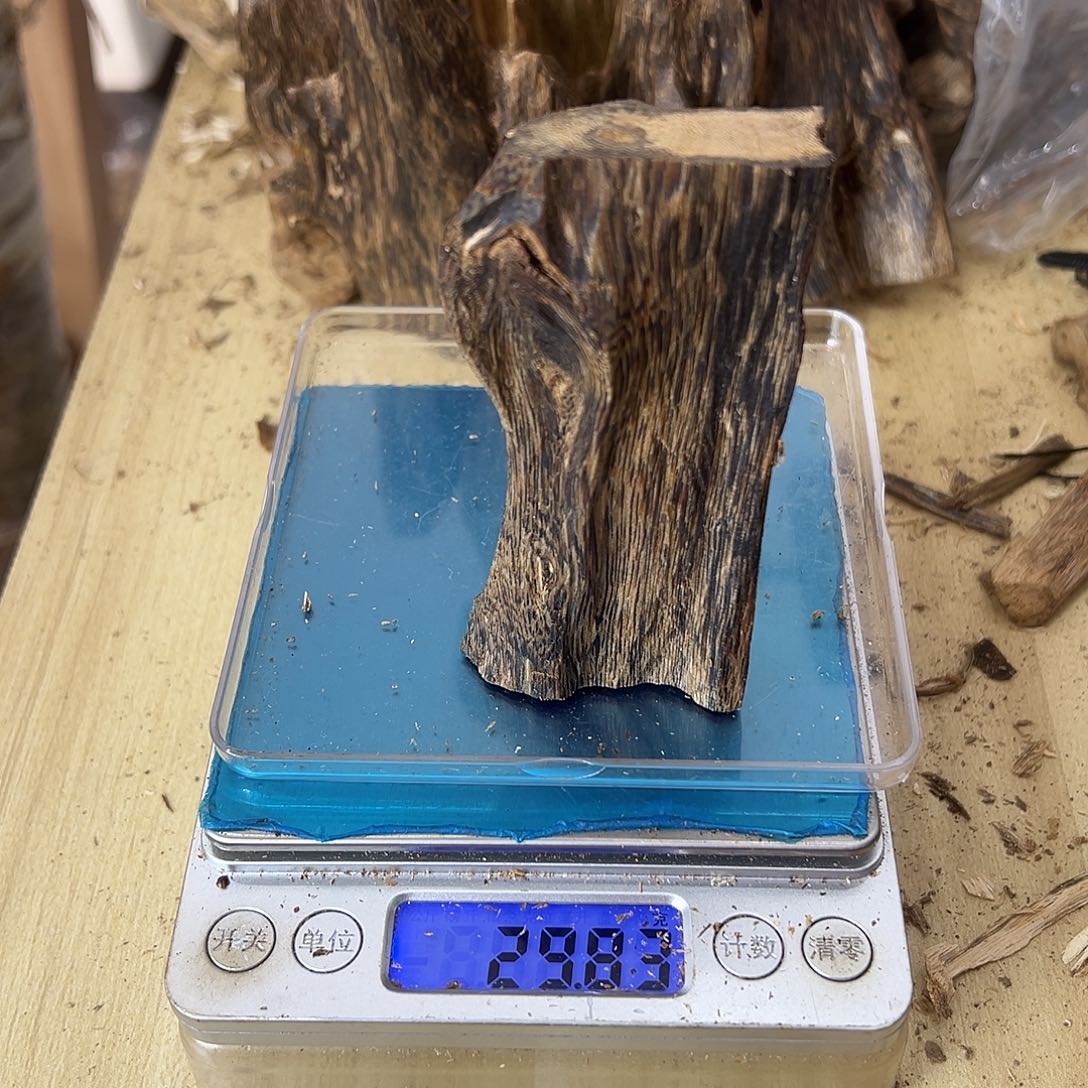 香料绿奇楠虫漏29克乌身