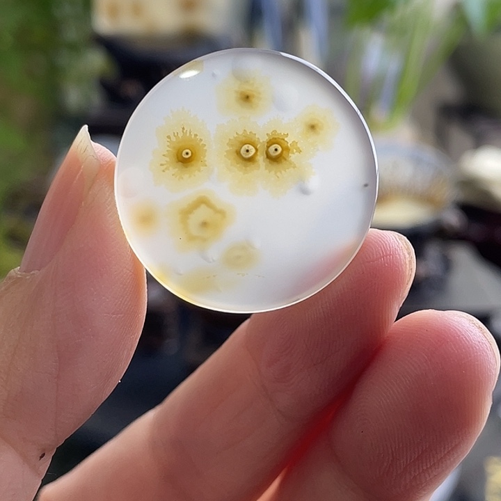 玛瑙/玉髓未镶嵌珠宝半成品