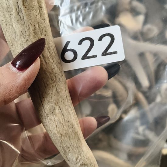 u***6鹿角鹿角鹿角鹿角鹿角鹿角