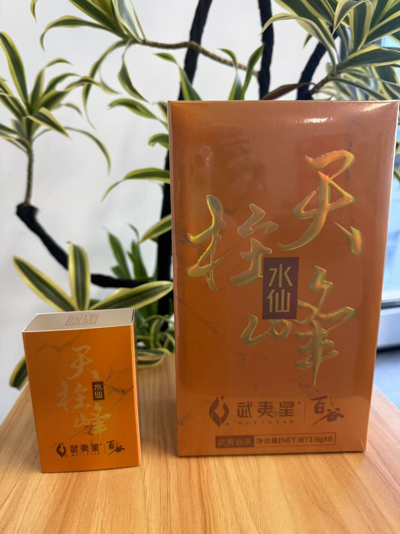 武夷星百谷金装-天柱峰水仙1品鉴（拍6单发一本）