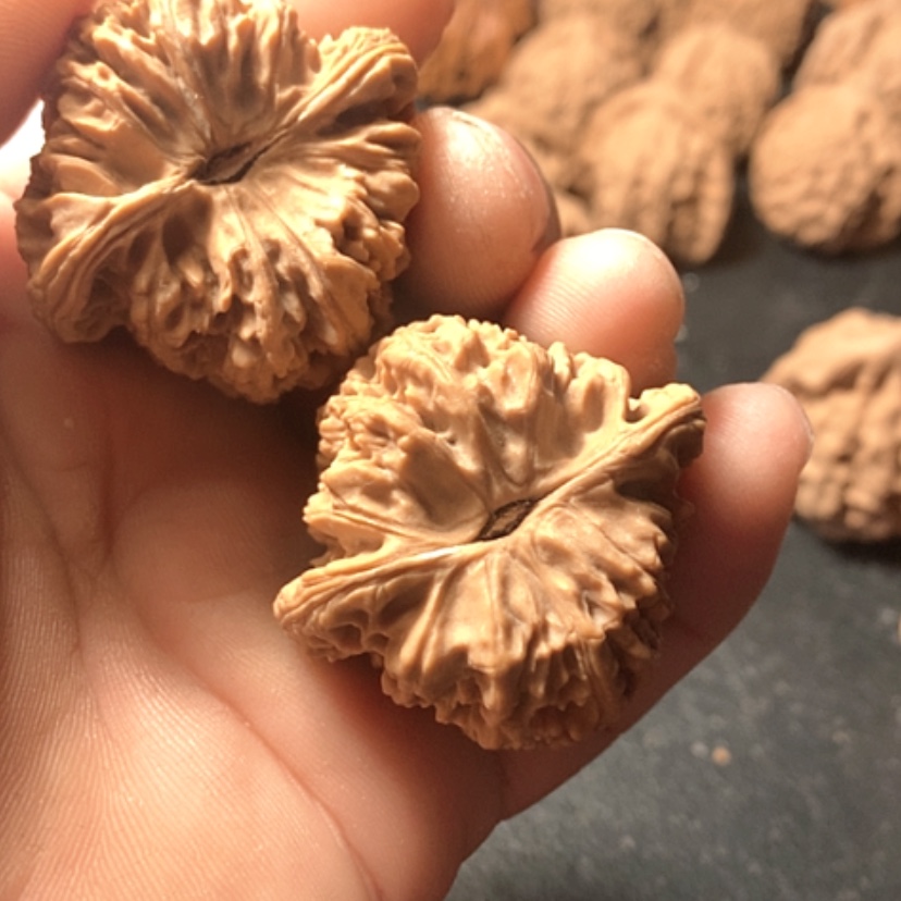 【闪购商品】简*一南疆