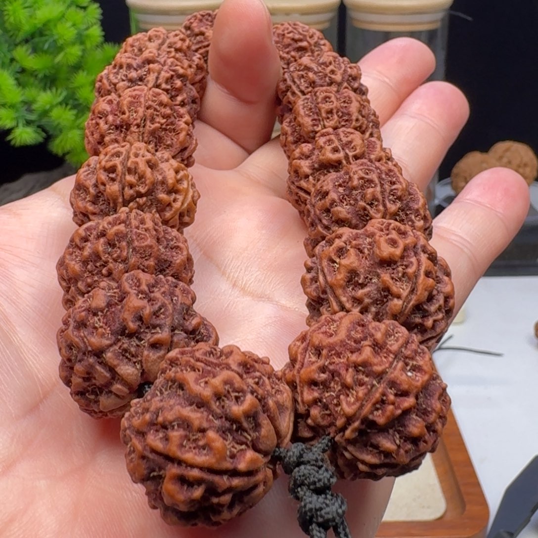 金刚菩提手串梅花双龙