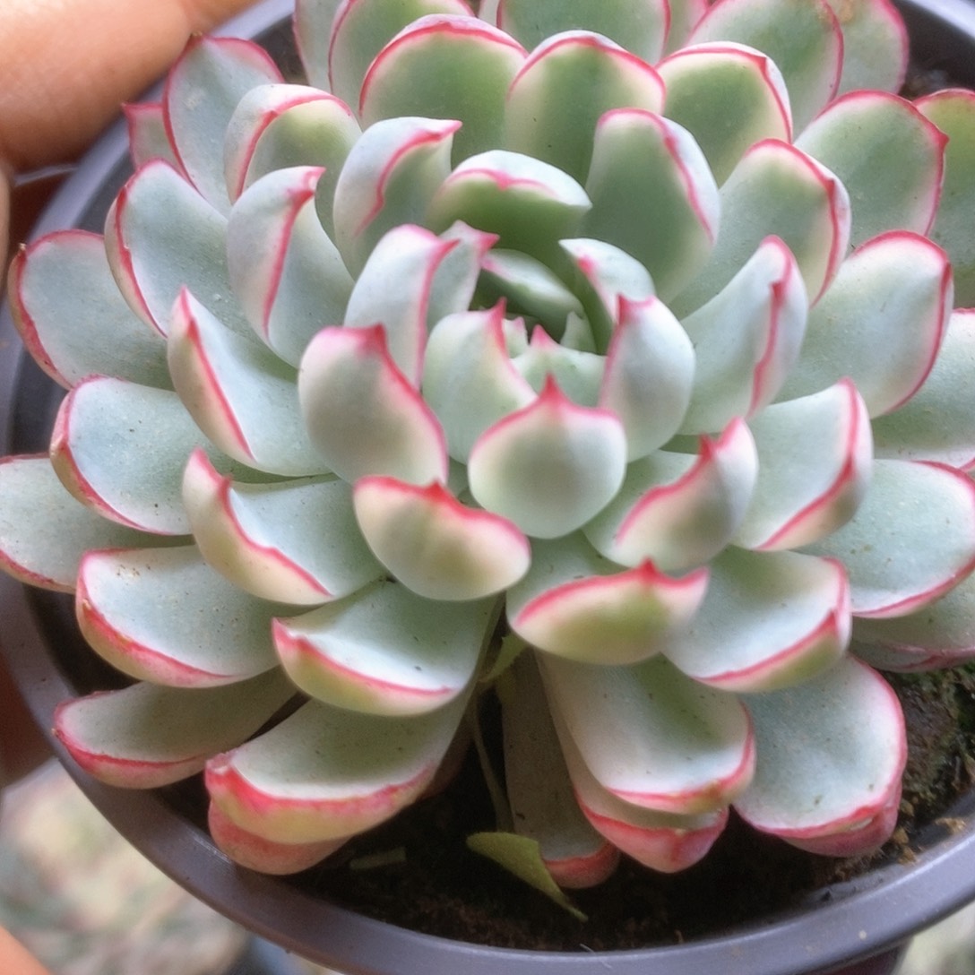 D025哈哈哈哈哈哈哈哈哈哈