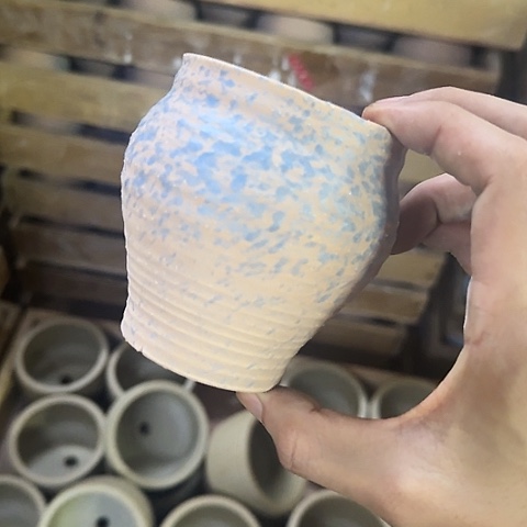 ····全是福利····