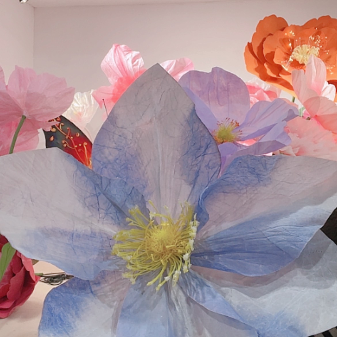 【闪购商品】单花头